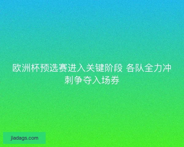 欧洲杯预选赛进入关键阶段 各队全力冲刺争夺入场券