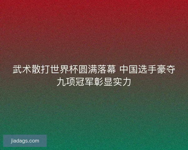 武术散打世界杯圆满落幕 中国选手豪夺九项冠军彰显实力 武术散打世界杯圆满落幕 中国选手豪夺九项冠军彰显实力
